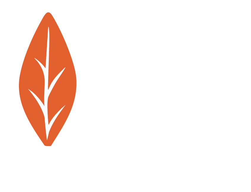Logo-Tabac-Vieux-Lille-B